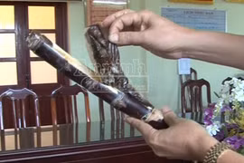 Quái chiêu: Mía...thuốc phiện