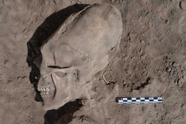 Phát hiện sọ “người ngoài hành tinh" ở Mexico