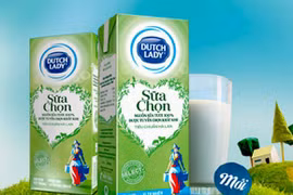 Sữa Cô gái Hà Lan không phải là nguyên nhân khiến 12 học sinh ngộ độc