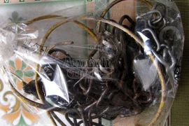 Điện hở trên mái tôn giật chết cả chủ và chó