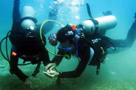 Trung Quốc đào tạo nữ thợ lặn nghiên cứu đáy biển