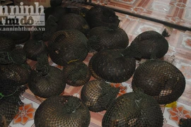 Ô tô không BKS chở hơn 400kg kỳ đà và tê tê 