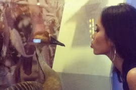 Hoàng My "mê mẩn" tạo dáng bên các loài vật 