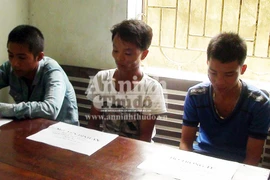 “Sướng” tay lấy đá “chọi” xe... cho vui