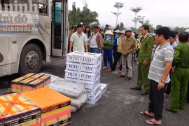 Vận chuyển quần áo, thuốc đông dược chung với... thịt lợn "bẩn"