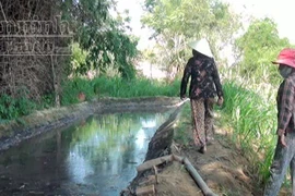 Xử phạt cơ sở chế biến nhựa gây ô nhiễm môi trường