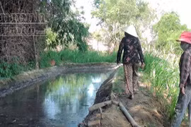 Xử phạt cơ sở chế biến nhựa gây ô nhiễm môi trường