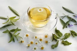 Trà từ phân gấu trúc