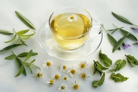 Trà từ phân gấu trúc