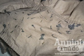 Sinh vật lạ trong quần áo… là ruồi giả ong