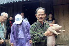Hàng trăm con lợn, gà giống được trao tận tay người dân vùng lũ