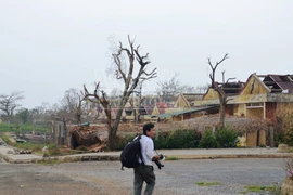 Đảo Cồn Cỏ tan hoang sau bão, cần hỗ trợ khẩn cấp