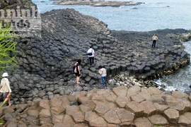 Chụp ảnh tết, trượt chân rơi xuống biển mất tích