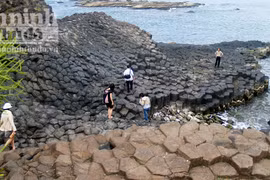 Chụp ảnh tết, trượt chân rơi xuống biển mất tích