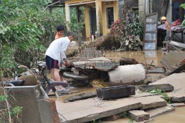 Quảng Ngãi: Hoang tàn sau mưa lũ