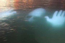 Chuyện bí ẩn về những hồn ma dưới nước