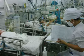 Nhật ký Tết của bác sĩ…