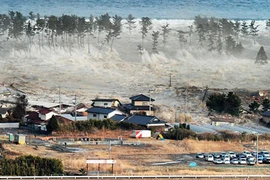  “Sống sót trong sóng thần”