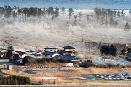  “Sống sót trong sóng thần”