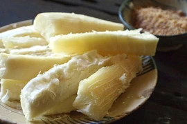 Phú Yên: Ngộ độc do ăn sắn, 10 người nhập viện