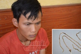 Đối tượng cướp giật tài sản bị bắt sau 30 phút gây án