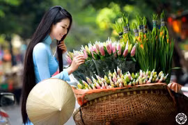 Hoa hậu Ngọc Anh: Hướng lòng mình về với quê hương