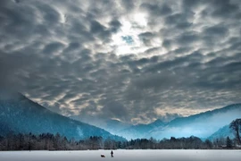 Ngắm mùa đông đen ở Đức