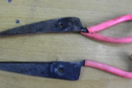 Đau lòng vụ em vợ đâm chết anh rể