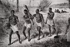 Những tranh cãi xung quanh cái gọi là "sự thật" về xác sống