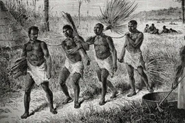 Những tranh cãi xung quanh cái gọi là "sự thật" về xác sống