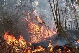 Đốt rẫy, cụ bà 68 tuổi bị chết ngạt