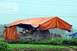 UBND thành phố Phủ Lý lên tiếng về vụ đào trộm mộ