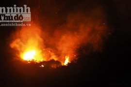 Nóng đỉnh điểm, 30ha rừng cháy rừng rực suốt 12 tiếng