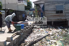 Vô tư xả thải: vịnh Cam Ranh đang thành... "biển thối"