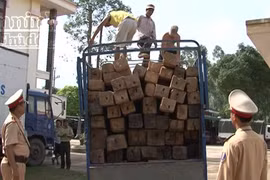 Quảng Bình: CSGT phát hiện và thu giữ hơn 6m3 gỗ lậu 