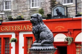 Greyfriars Bobby- chú chó trung thành của thành phố Edinburgh