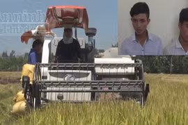 Quảng Nam: Xuất hiện nạn bảo kê máy gặt ở các làng quê 