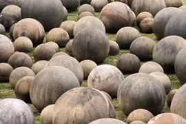 8 bí ẩn thách thức tri thức nhân loại