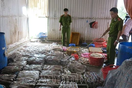 Hà Nội: Phát hiện 2 tấn mực thối chuẩn bị “tuồn” vào các đám cưới