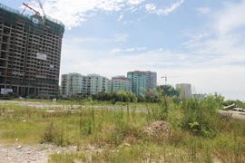 Sẽ hết cảnh đất vàng bị bỏ hoang? 