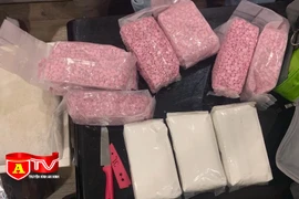 Hơn 4 tấn ma túy các loại bị thu giữ trong năm 2021