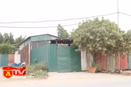 Lây lan dịch bệnh từ hoạt động mại dâm