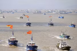 Nam Phi bắt giữ 3 tàu cá Trung Quốc