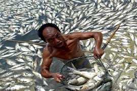 Tội ác từ một sự thờ ơ