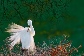 Nhiếp ảnh gia Nguyễn Duy Tưởng giành 7 giải thưởng 