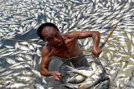 Tội ác từ một sự thờ ơ