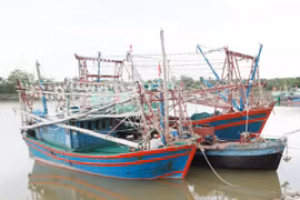 Bão số 1 đổ bộ trực diện Quảng Ninh