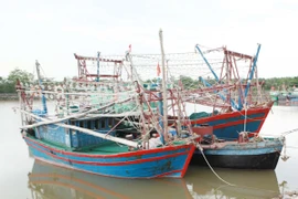 Bão số 1 đổ bộ trực diện Quảng Ninh