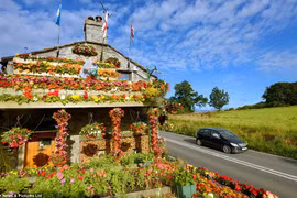 Kỳ thú ngôi nhà được bao phủ bởi hoa tươi