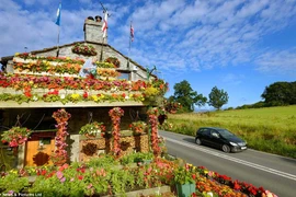 Kỳ thú ngôi nhà được bao phủ bởi hoa tươi